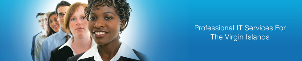 Network Integration, Routers, LAN Services, Structured cabling, RF radio installation, Wireless Networking, Service Contracts, VOIP, PBX, Video Conferencing